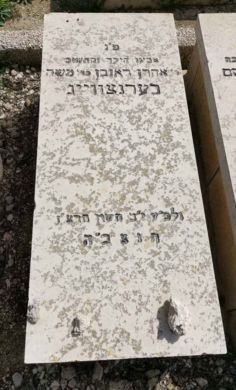 Read more about the article אהרון ראובן בערנצווייג