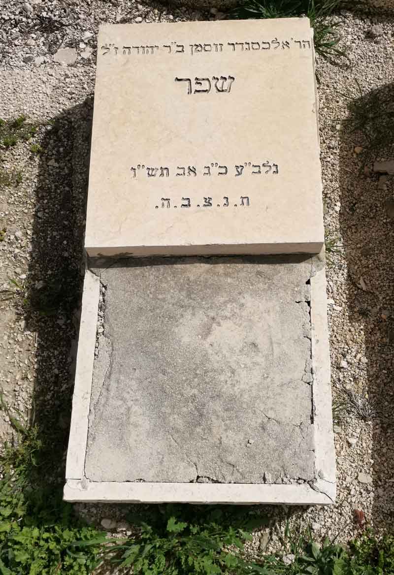 Read more about the article אלכסנדר זוסמן שפר