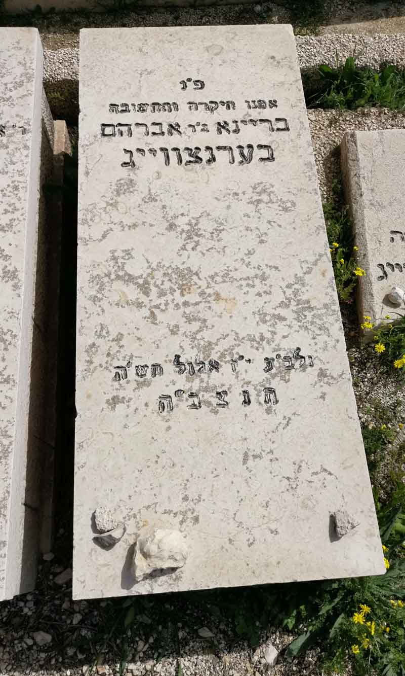 Read more about the article בריינא בערנצווייג