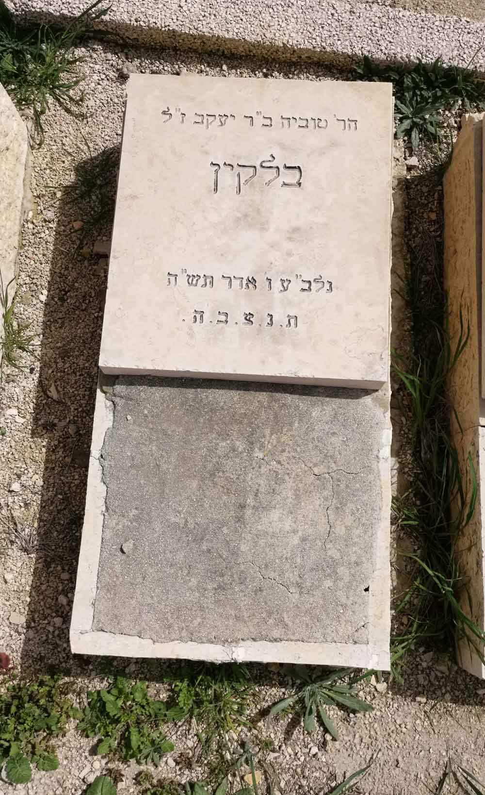 Read more about the article טוביה בלקין
