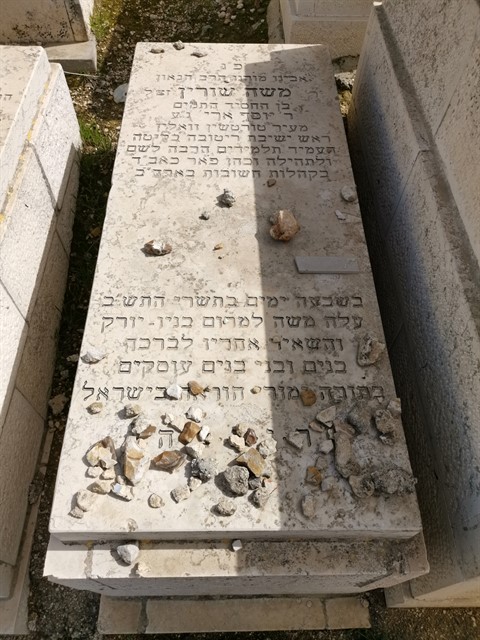 Read more about the article משה שורין