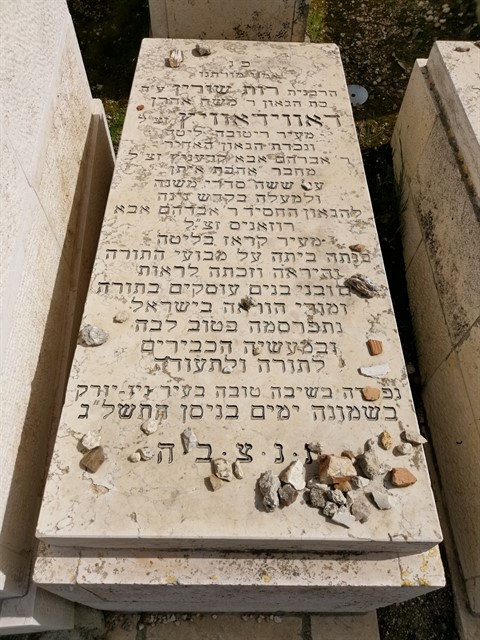 Read more about the article רות שורין